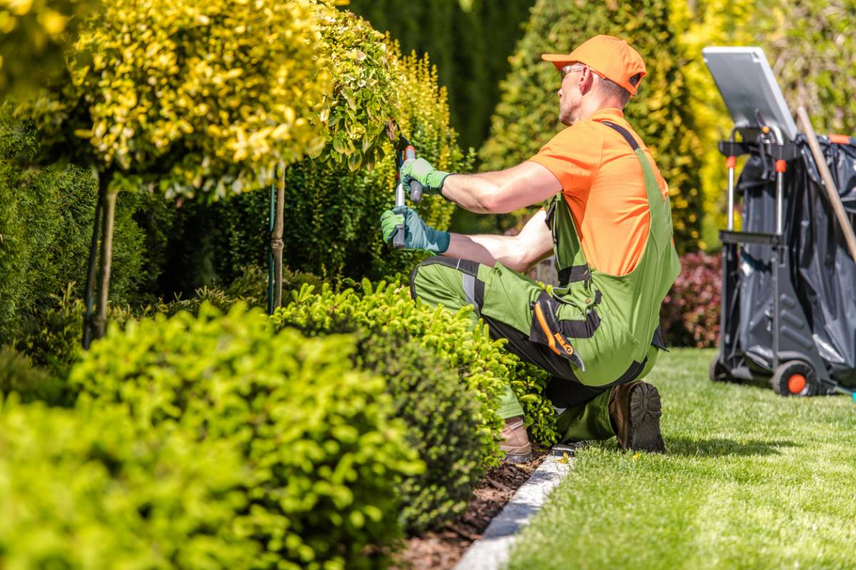 jardinier professionnel entretien espaces verts
