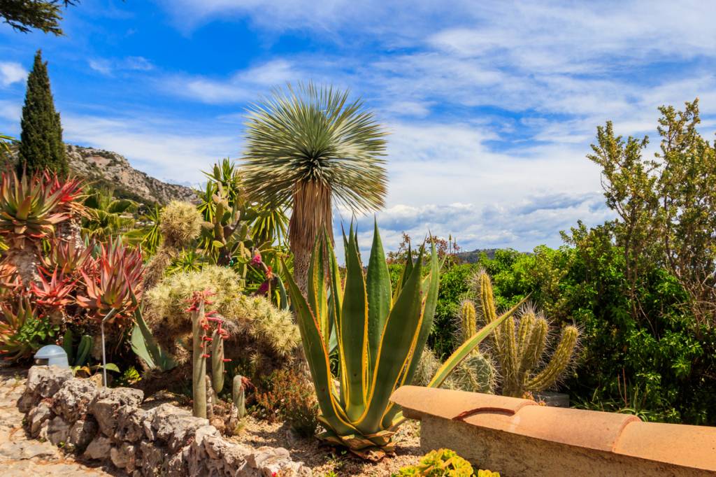 aménager jardin éco-responsable Côte d'Azur