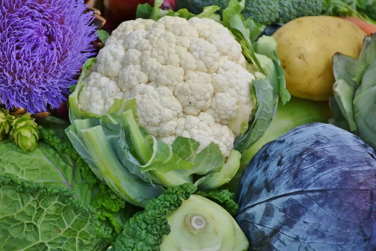 potager compagnonnage