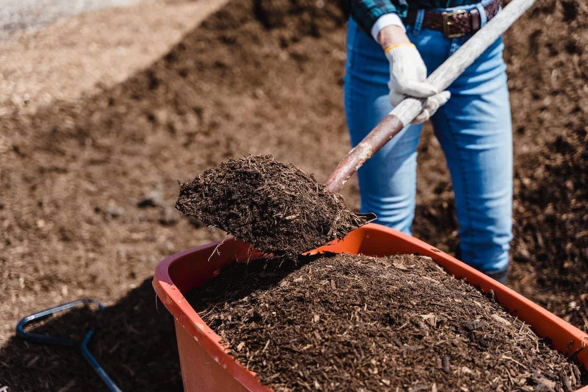 Utiliser le compost sur votre pelouse pour des résultats écologiques et économiques