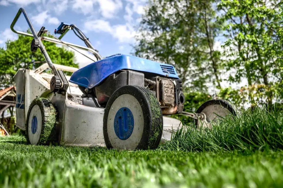 Les astuces pour obtenir un gazon parfait : évitez ces erreurs courantes !
