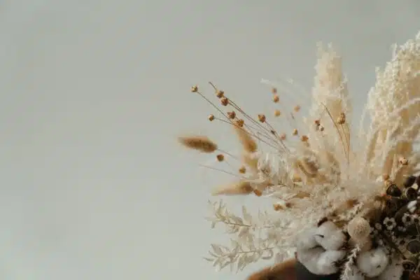 Sécher vos fleurs pour une conservation durable et une décoration personnalisée