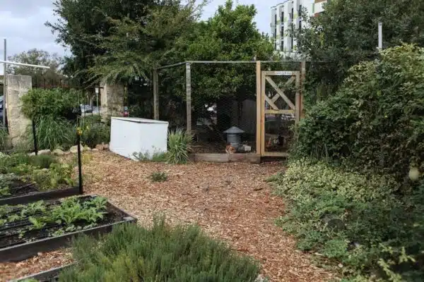Bacs de culture en carré pour potager : Impacts positifs et négatifs