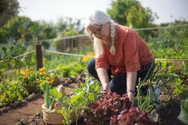 Les légumes simples à cultiver dans votre potager