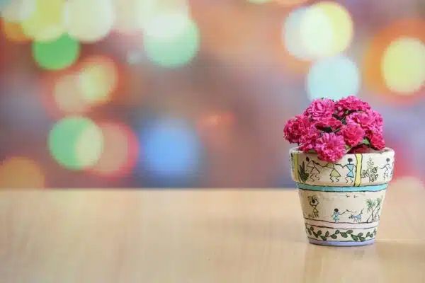 Tout savoir pour choisir et entretenir les fleurs en pot et créer un effet maximal