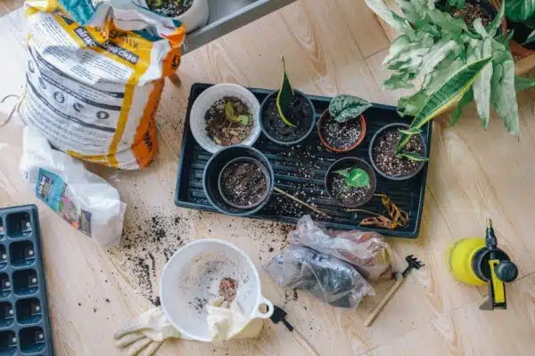 Les meilleurs gestes écologiques pour un potager respectueux de l’environnement