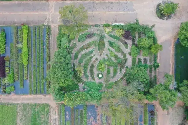 Les nombreux bénéfices de la permaculture pour un potager florissant