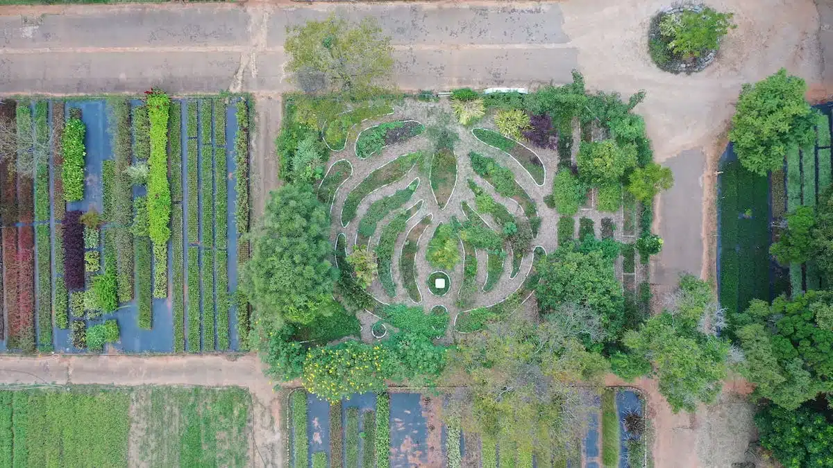 Les nombreux bénéfices de la permaculture pour un potager florissant