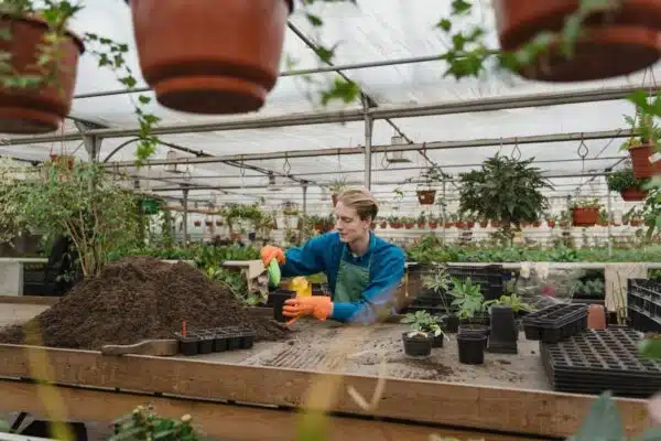 Jardinage écologique : les meilleures méthodes pour cultiver votre jardin de manière responsable