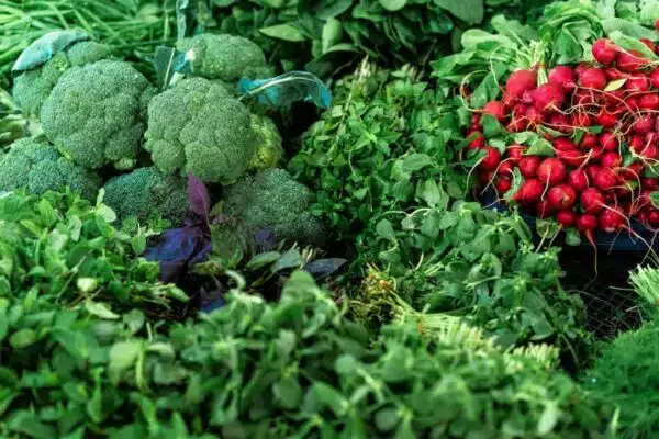 Les plantes compagnes qui améliorent votre potager : découvrez leurs bienfaits !