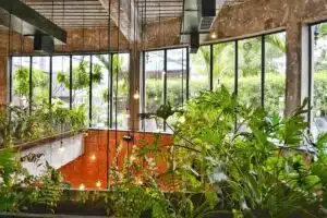 Conseils pour aménager un potager dans un jardin urbain