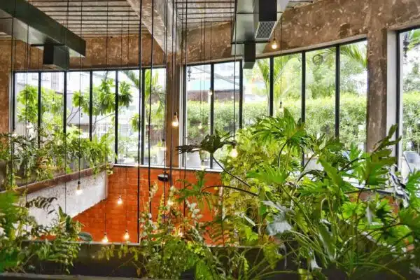 Conseils pour aménager un potager dans un jardin urbain