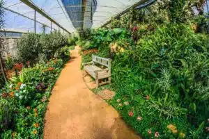 Les meilleurs conseils pour choisir la serre de jardin idéale