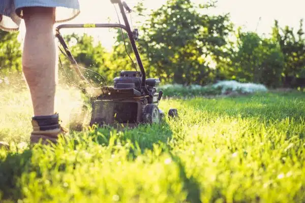 Les pièges à éviter pour entretenir votre gazon parfaitement