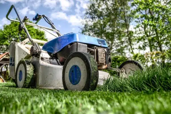 Réparez facilement vos zones dégarnies de gazon grâce à ces astuces efficaces