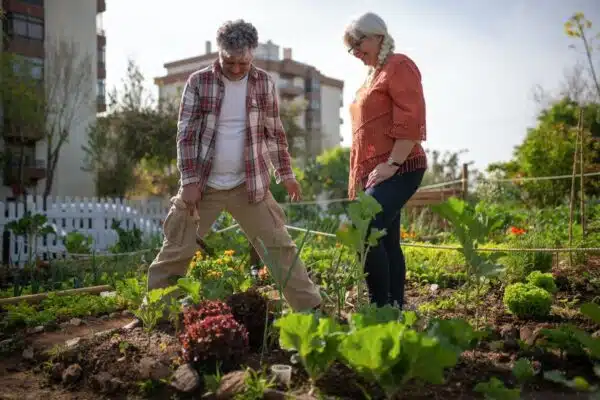 Les légumes méconnus à (re)découvrir dans votre potager