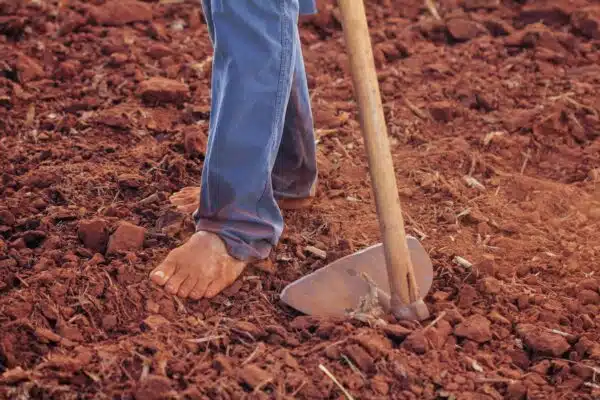 Améliorez la fertilité de votre potager avec des techniques de compostage efficaces