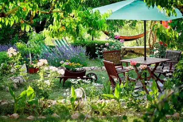 Les astuces pour créer un jardin écologique et respectueux de la nature