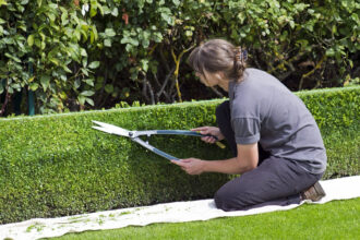 Faire appel à un jardinier professionnel : une idée à sérieusement reconsidérer