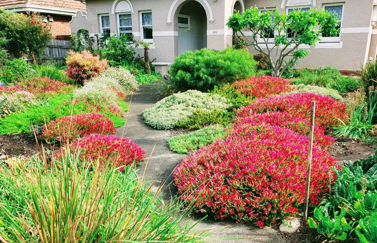 aménagement jardin
