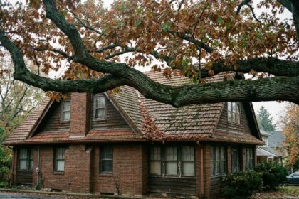 Grosse branche d'arbre surplombant une toiture résidentielle en automne, avec feuilles accumulées dans les gouttières et risque visible d'endommagement