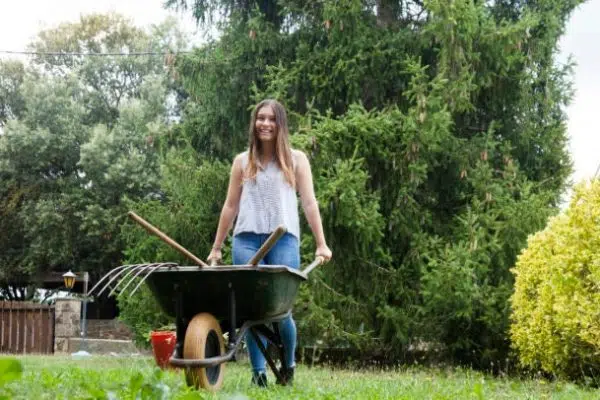 Comment choisir la bonne brouette ?