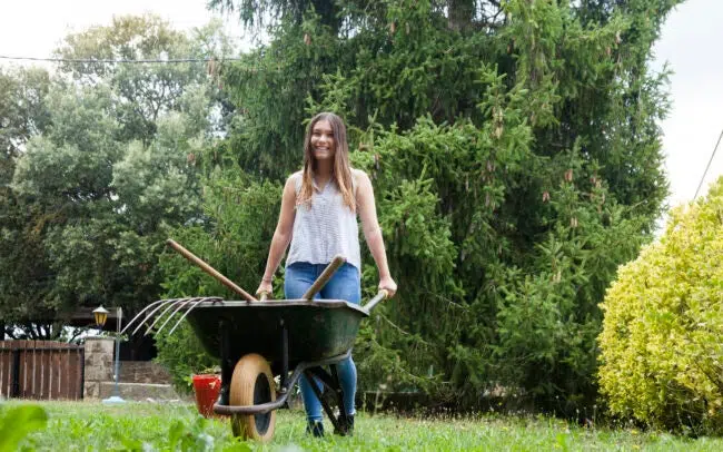 Comment choisir la bonne brouette ?