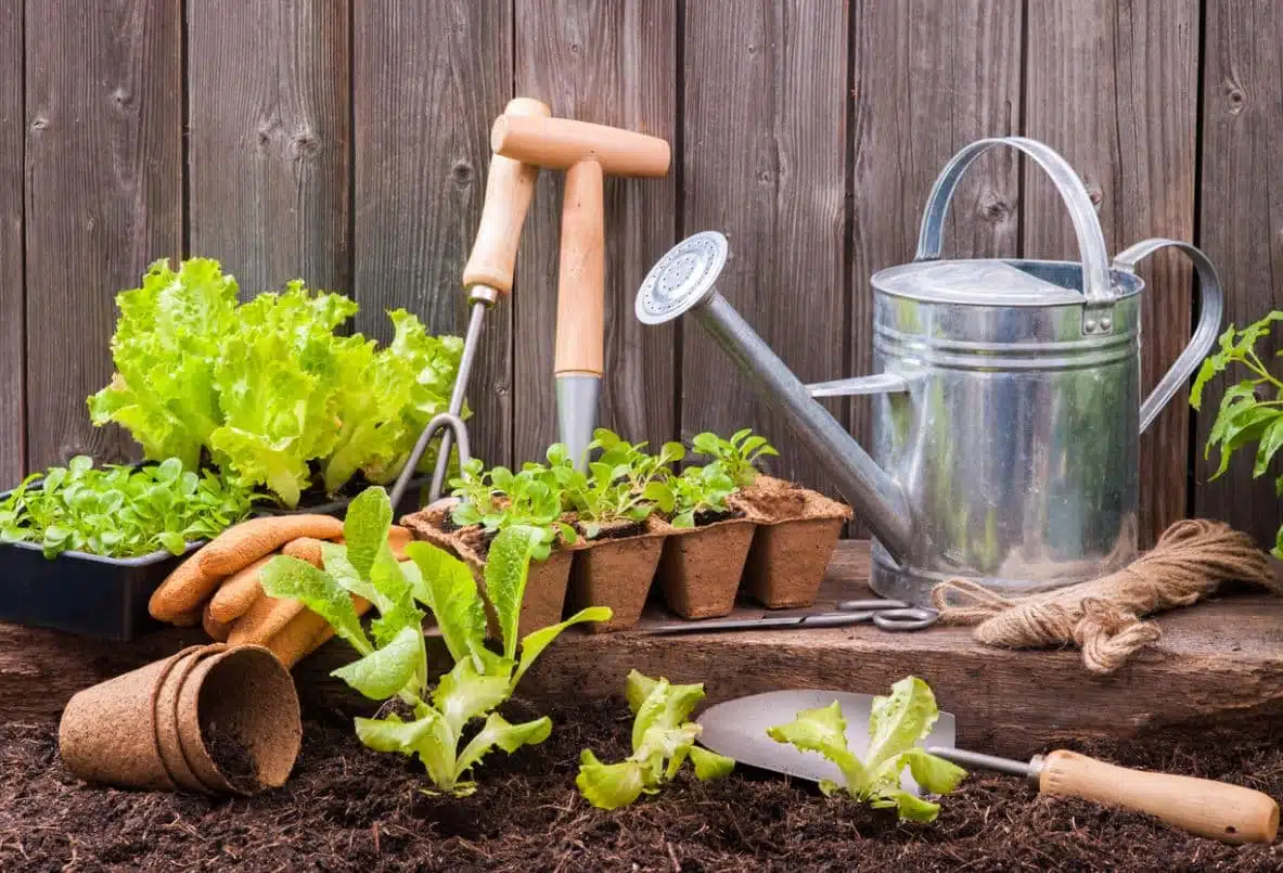 outils pour votre potager 