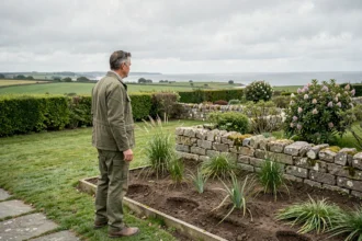 Paysagiste professionnel inspectant un jardin breton dans les Côtes-d'Armor, avec des murets en granite et des haies typiques de la région