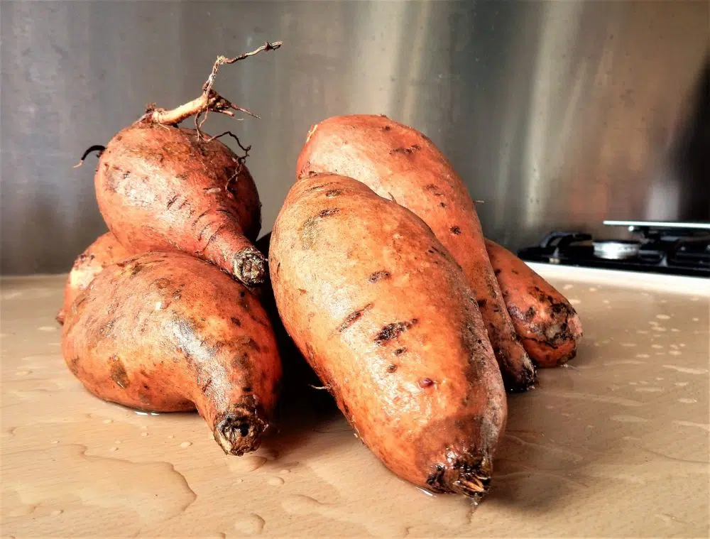 À quelle vitesse germer des patates douces ?