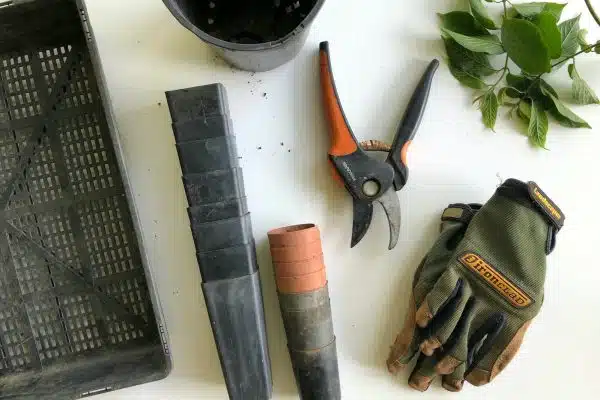 Les 10 meilleurs outils de jardin à avoir absolument dans votre équipement