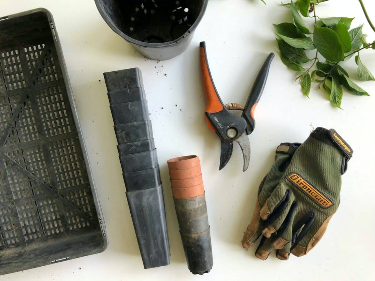 Les 10 meilleurs outils de jardin à avoir absolument dans votre équipement